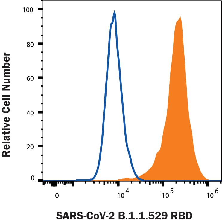 HEK293 human embryonic kidney cells transfected with human ACE-2 were stained with (A) Recombinant SARS-CoV-2 B.1.1.529 Spike RBD His-tag Alexa Fluor® 488 (Catalog # AFG11056, filled histogram) or (B) unstained (open histogram).