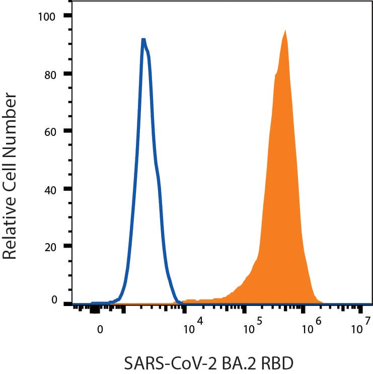 HEK293 human embryonic kidney cells transfected with human ACE-2 were stained with (A) Recombinant SARS-CoV-2 BA.2 Spike RBD His-tag Alexa Fluor® 488 (Catalog # AFG11094, filled histogram) or (B) unstained (open histogram).