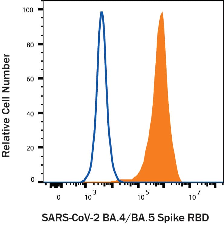 HEK293 human embryonic kidney cells transfected with human ACE-2 were stained with (A) Recombinant SARS-CoV-2 BA.4/BA.5 Spike RBD His-tag Alexa Fluor® 488 (Catalog # AFG11229, filled histogram) or (B) unstained (open histogram).