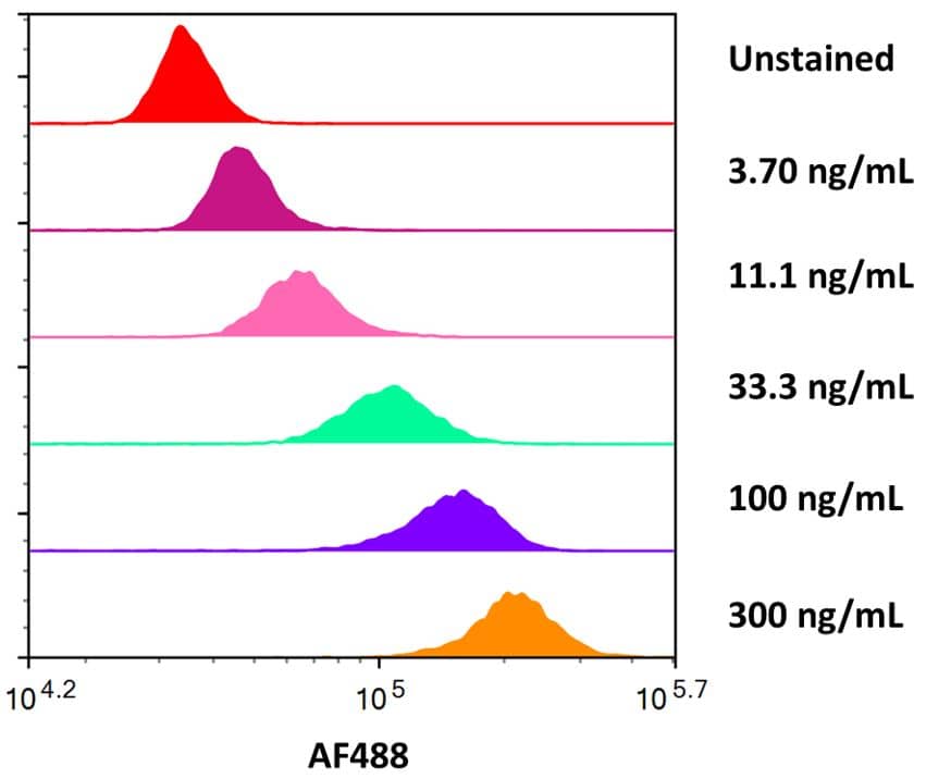 Streptavidin coated beads conjugated to biotinylated anti-human Fc gamma  RIIA/CD32a Antibody were stained with the indicated concentrations of Recombinant Human Fc gamma  RIIA/CD32a (R167) His-tag Alexa Fluor® 488 (Catalog # AFG1330).