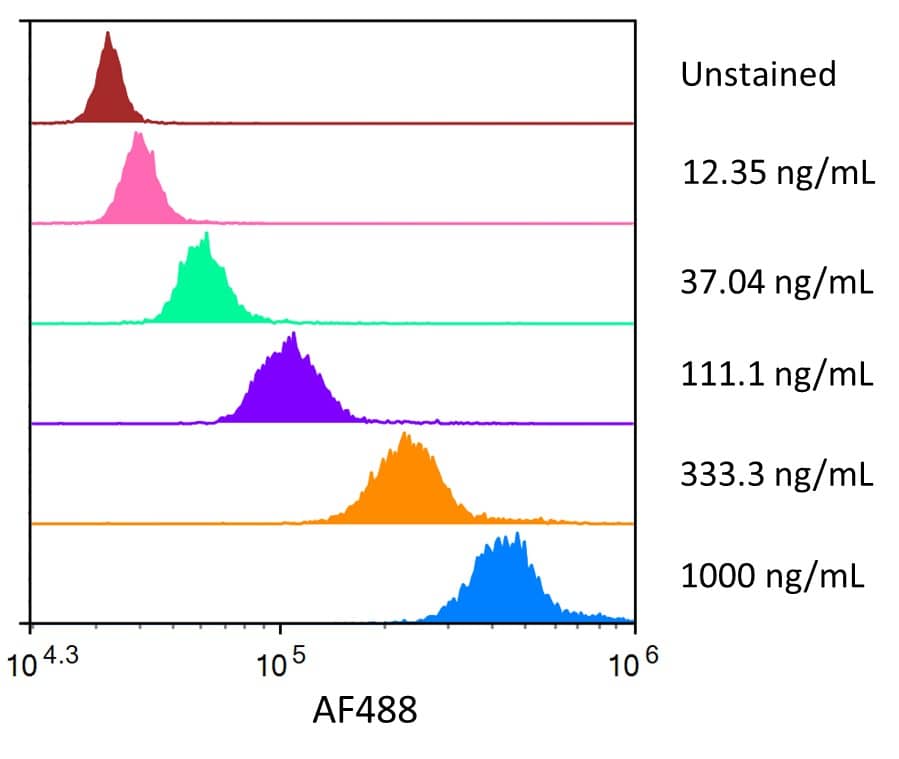 Streptavidin coated beads conjugated to biotinylated anti-Human BCMA/TNFRSF17 Monoclonal Antibody were stained with the indicated concentrations of Recombinant Human BCMA/TNFRSF17 Fc Chimera Alexa Fluor® 488 (Catalog # AFG193).