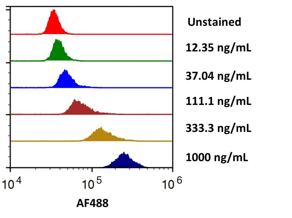 Streptavidin coated beads conjugated to biotinylated Anti-Human B7‑2/CD86 were stained with the indicated concentrations of Recombinant Human B7‑2/CD86 Fc Chimera Alexa Fluor® 488 (Catalog # AFG7625).