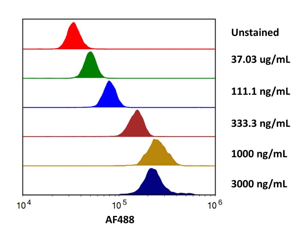 Streptavidin coated beads conjugated to Biotinylated Anti-Human PD-L2/B7-DC Antibody were stained with the indicated concentrations of Recombinant Human PD‑L2/B7‑DC His-tag Alexa Fluor® 488 (Catalog # AFG9075).