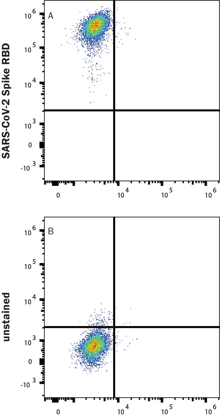HEK293 human embryonic kidney cells transfected with human ACE-2 were stained with (A) 1 µg/mL (100 µL/well) Recombinant SARS-CoV-2 Spike RBD His-tag Alexa Fluor® 647 Protein (Catalog # AFR10500) or (B) unstained.