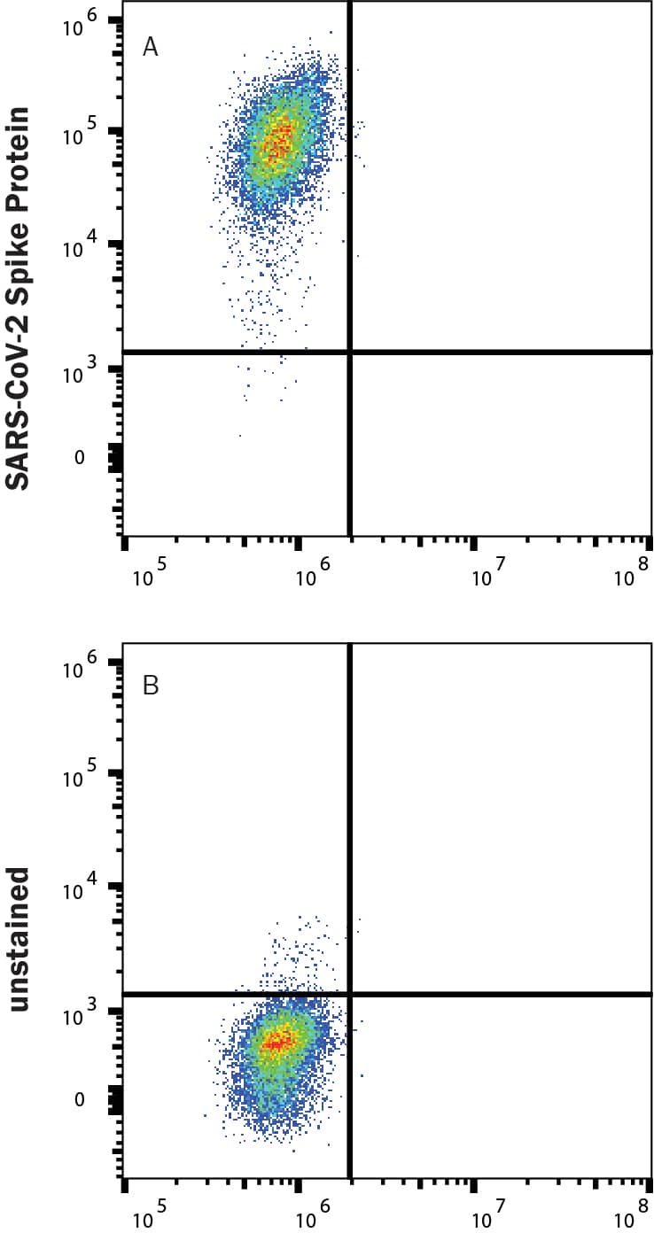 HEK293 human embryonic kidney cells transfected with human ACE-2 were stained with (A) 1 µg/mL (100 µL/well) Recombinant SARS-CoV-2 B.1.351 Spike (GCN4-IZ) His-tag Alexa Fluor® 647 Protein (Catalog # AFR10786) or (B) unstained.