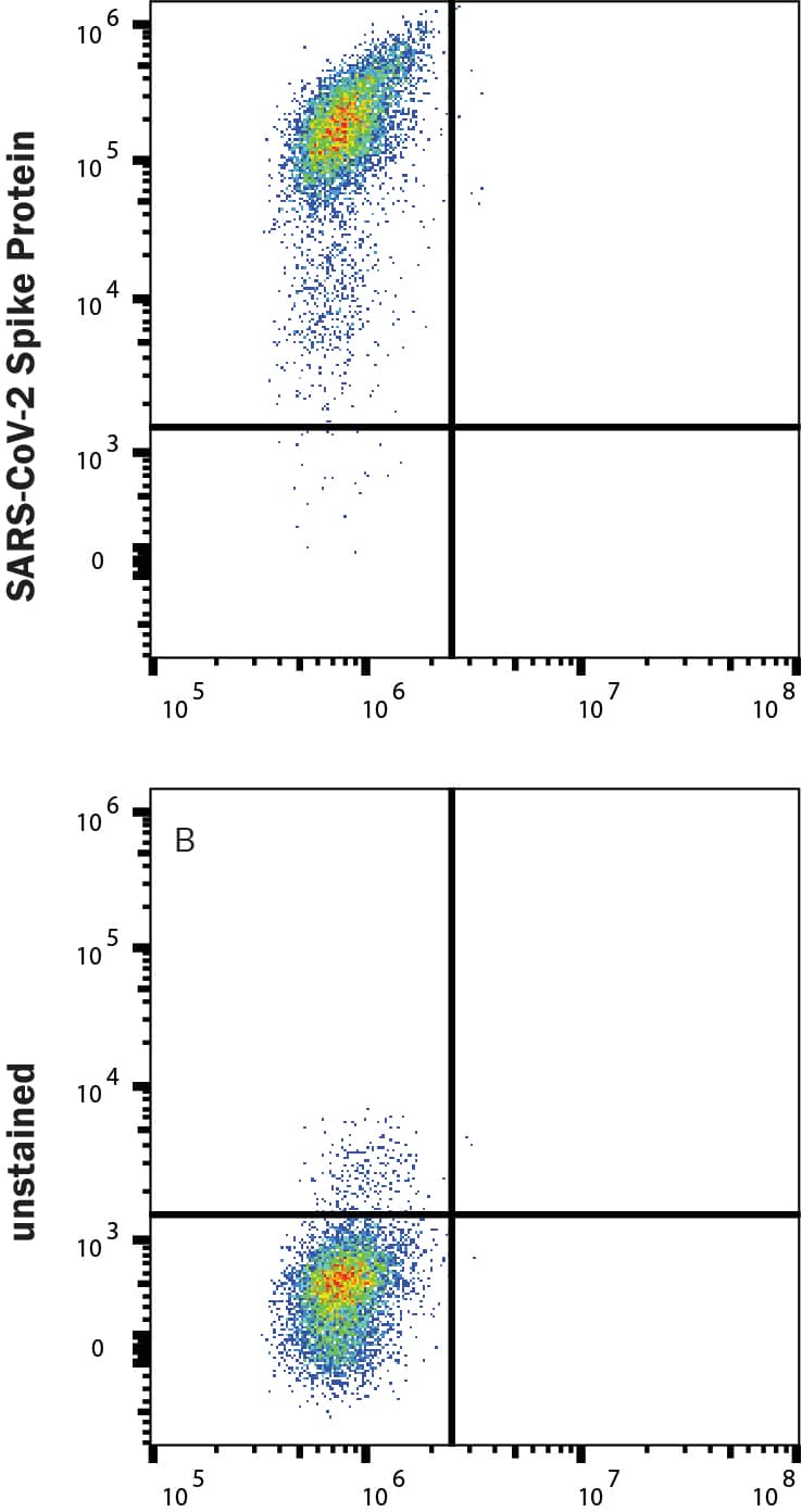 HEK293 human embryonic kidney cells transfected with human ACE-2 were stained with (A) 1 µg/mL (100 µL/well) Recombinant SARS-CoV-2 P.1 Spike (GCN4-IZ) His-tag Alexa Fluor® 647 Protein (Catalog # AFR10795) or (B) unstained.