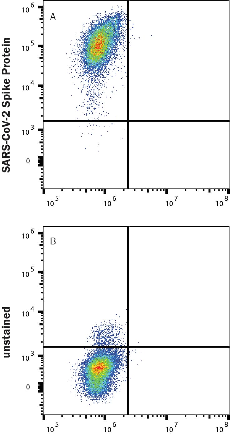 HEK293 human embryonic kidney cells transfected with human ACE-2 were stained with (A) 1 µg/mL (100 µL/well) Recombinant SARS-CoV-2 B.1.1.7 Spike (GCN4-IZ) His-tag Alexa Fluor® 647 Protein (Catalog # AFR10796) or (B) unstained.