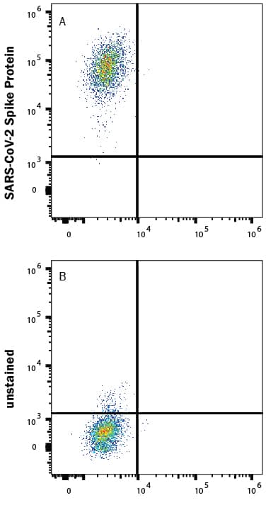HEK293 human embryonic kidney cells transfected with human ACE-2 were stained with (A) 1 µg/mL (100 µL/well) Recombinant SARS-CoV-2 B.1.617.1 Spike (GCN4-IZ) His-tag Alexa Fluor® 647 Protein (Catalog # AFR10861) or (B) unstained