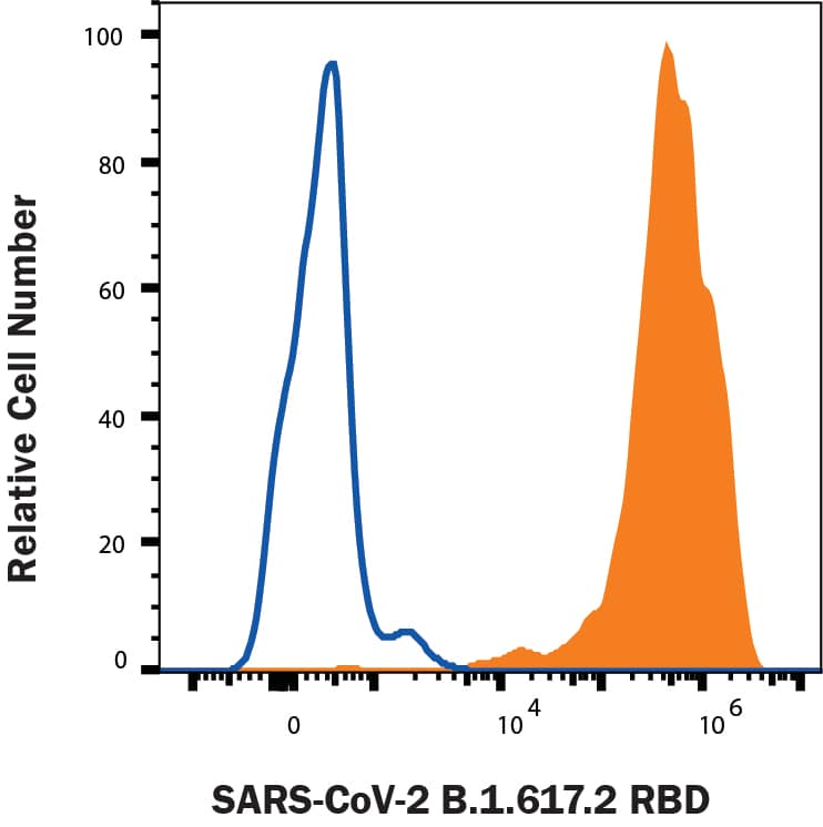 HEK293 human embryonic kidney cells transfected with human ACE-2 were stained with (A) Recombinant SARS-CoV-2 B.1.617.2 Spike RBD His-tag Alexa Fluor® 647 (Catalog # AFR10876, filled histogram) or (B) unstained (open histogram).