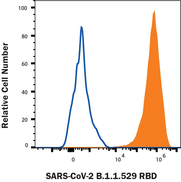 HEK293 human embryonic kidney cells transfected with human ACE-2 were stained with (A) Recombinant SARS-CoV-2 B.1.1.529 Spike RBD His-tag Alexa Fluor® 647 (Catalog # AFR11056, filled histogram) or (B) unstained (open histogram).