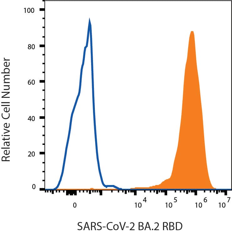 HEK293 human embryonic kidney cells transfected with human ACE-2 were stained with (A) Recombinant SARS-CoV-2 BA.2 Spike RBD His-tag Alexa Fluor® 647 (Catalog # AFR11094, filled histogram) or (B) unstained (open histogram).