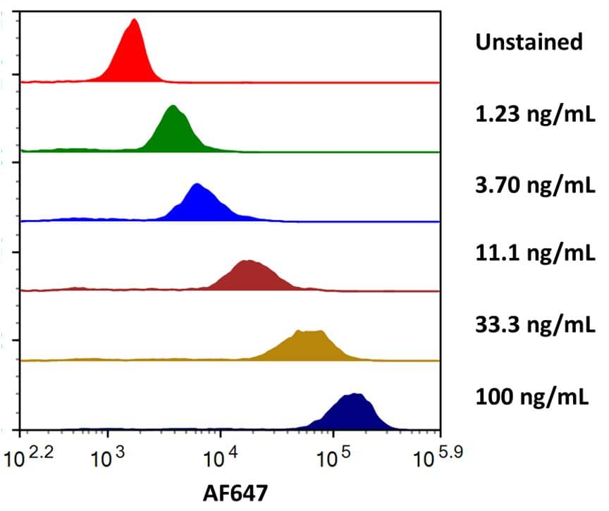 Streptavidin coated beads conjugated to biotinylated anti-human Fc gamma  RIIA/CD32a Antibody were stained with the indicated concentrations of Recombinant Human Fc gamma  RIIA/CD32a (R167) His-tag Alexa Fluor® 647 (Catalog# AFR1330).