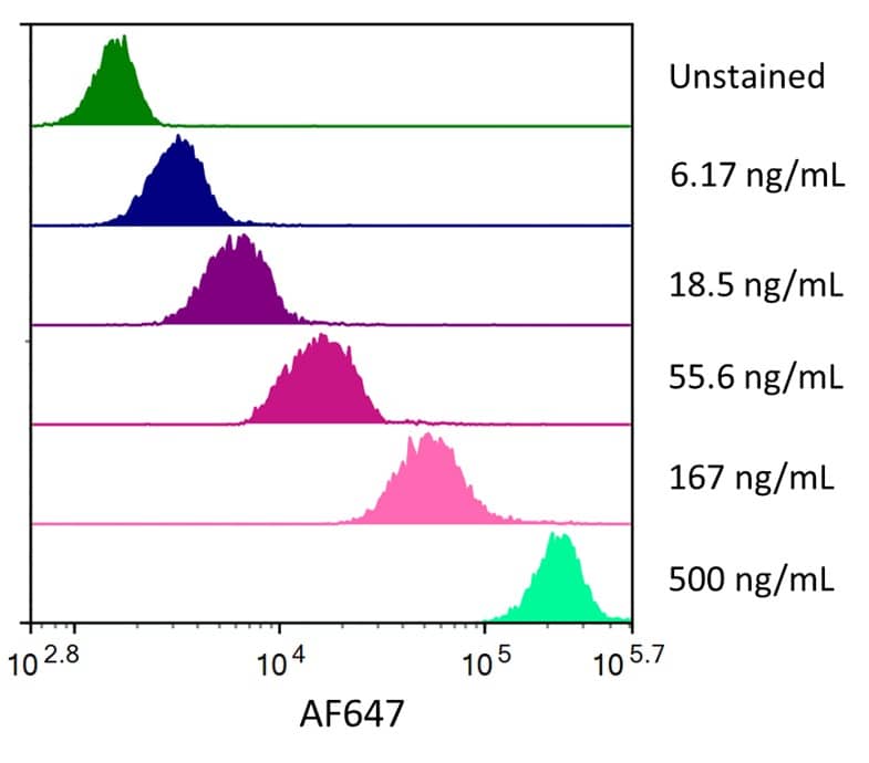 Streptavidin coated beads conjugated to biotinylated anti-Human BCMA/TNFRSF17 Monoclonal Antibody were stained with the indicated concentrations of Recombinant Human BCMA/TNFRSF17 Fc Chimera Alexa Fluor® 647 (Catalog # AFR193).