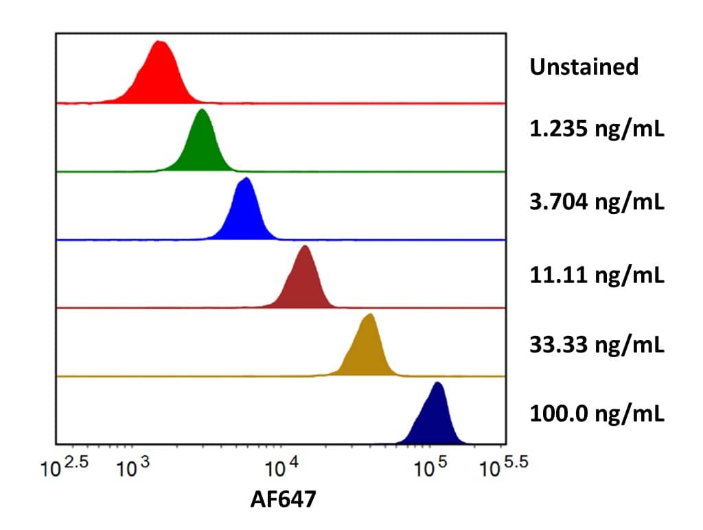 Streptavidin coated beads conjugated to biotinylated Anti-Human PD-L2/B7-DC Antibody were stained with the indicated concentrations of Recombinant Human PD‑L2/B7‑DC His-tag Alexa Fluor® 647 (Catalog # AFR9075).