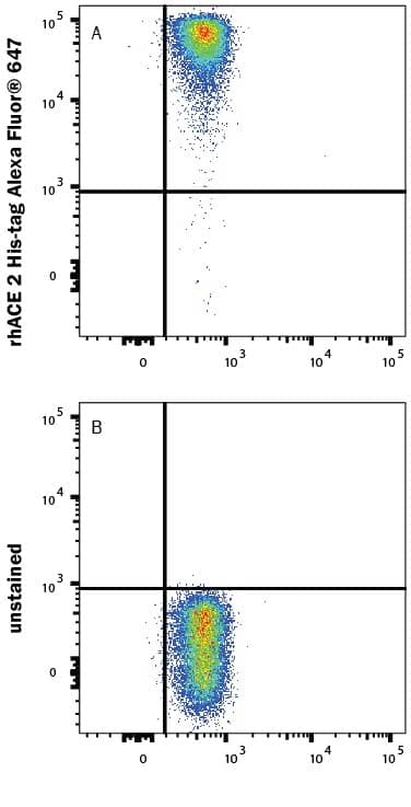 Streptavidin beads conjugated to Biotinylated Recombinant SARS-CoV-2 Spike RBD Fc Chimera Avi-tag (Catalog # AVI10499) were stained with (A) Recombinant Human ACE 2 His-tag Alexa Fluor® 647 Protein (Catalog # AFR933) or (B) unstained.