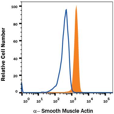 Human peripheral blood monocytes were stained with Mouse Anti-Human a-Smooth Muscle Actin PE-conjugated Monoclonal Antibody (Catalog # IC1420P, filled histogram) or isotype control antibody (Catalog # IC003P, open histogram). To facilitate intracellular staining, cells were fixed with Flow Cytometry Fixation Buffer (Catalog # FC004) and permeabilized with Flow Cytometry Permeabilization/Wash Buffer I (Catalog # FC005). View our protocol for Staining Intracellular Molecules.