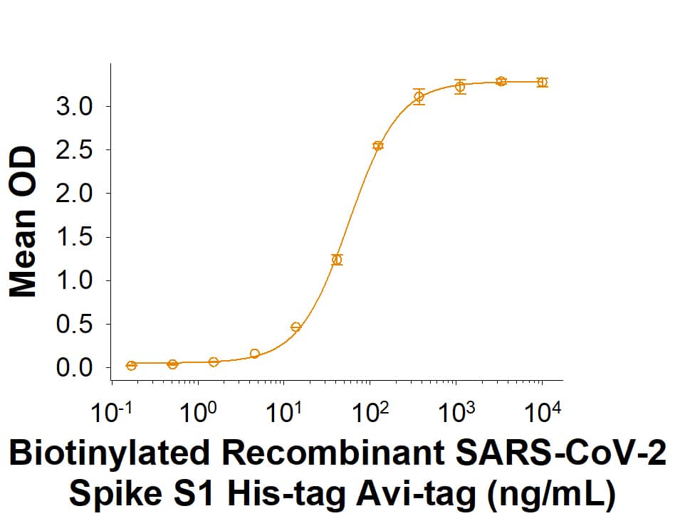 Biotinylated Recombinant SARS-CoV-2 Spike S1 Subunit His-tag Avi-tag (Catalog # AVI10693) binds Recombinant Human ACE-2 Fc Chimera (10544-ZN) in a functional ELISA.