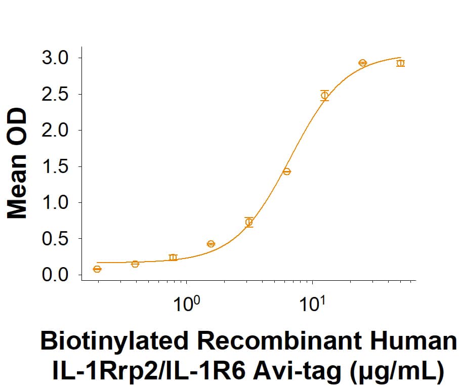 When Recombinant Human IL-36 beta /IL-1F8 (6834-ILB/CF) is immobilized at 2 µg/mL (100 µL/well), Biotinylated Recombinant Human IL-1Rrp2/IL-1R6 Fc Chimera Avi-tag Protein (Catalog # AVI11116) binds with an ED50 of 1.50-15.0 μg/mL.