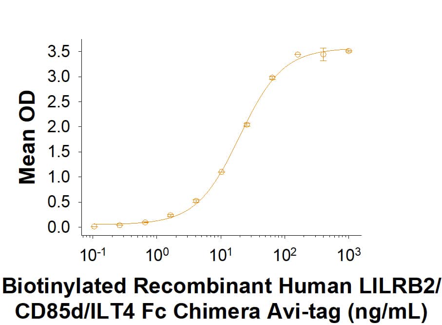 Binding Activity ILT4/CD85d/LILRB2 [Biotin]