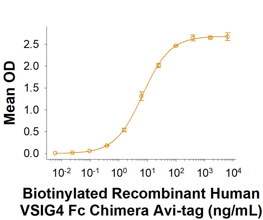 When Human iC3b is immobilized at 2.5 μg/mL (100 μL/well), the concentration of Biotinylated Recombinant Human VSIG4 Fc Chimera Avi-tag (AVI4646) that produces 50% optimal binding response is found to be approximately 5-40 ng/mL.