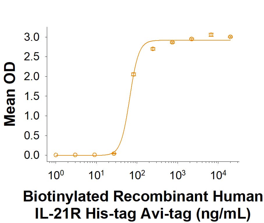 When Recombinant Human IL-21 Protein  (8879-IL) is immobilized at 1.0 μg/mL (100 μL/well), the concentration of Biotinylated Recombinant Human IL-21R His-tag Avi-tag (Catalog # AVI9249) that produces 50% of the optimal binding response is 40.0-240 ng/mL.