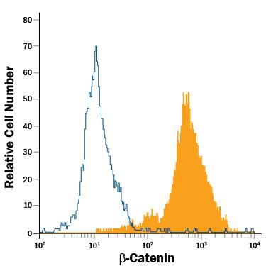 HeLa human cervical epithelial carcinoma cell line was stained with Mouse Anti-Human  beta -Catenin PE-conjugated Monoclonal Antibody (Catalog # IC13292P, filled histogram) or isotype control antibody (Catalog # IC003P, open histogram). View our protocol for Staining Intracellular Molecules.