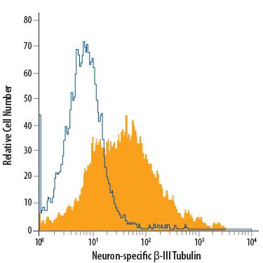 Eight-day differentiated Rat cortical stem cells was stained with Mouse Anti-beta -III Tubulin APC-conjugated Monoclonal Antibody (Catalog # IC1195A, filled histogram) or isotype control antibody (Catalog # IC003A, open histogram). To facilitate intracellular staining, cells were fixed with Flow Cytometry Fixation Buffer (Catalog # FC004) and permeabilized with Flow Cytometry Permeabilization/Wash Buffer I (Catalog # FC005). View our protocol for Staining Intracellular Molecules.