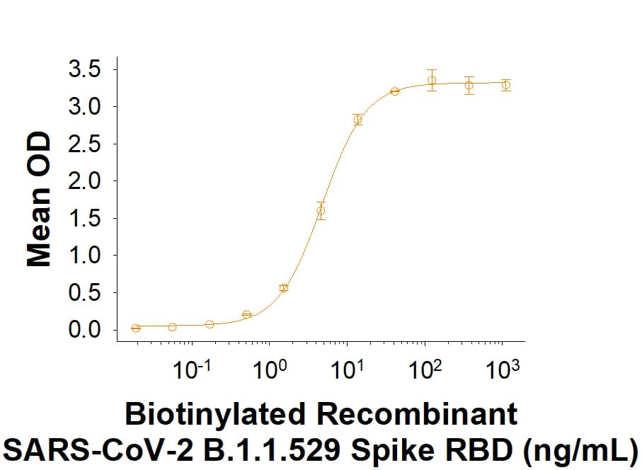 Biotinylated Recombinant SARS-CoV-2 B.1.1.529 Spike RBD His-tag Protein (Catalog # BT11056) binds Recombinant Human ACE-2 Fc Chimera (10544-ZN) in a functional ELISA.