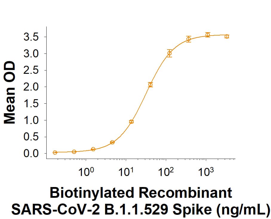 Biotinylated Recombinant SARS-CoV-2 B.1.1.529 Spike His-tag Protein (Catalog # BT11060) binds Recombinant Human ACE-2 Fc Chimera (10544-ZN) in a functional ELISA.