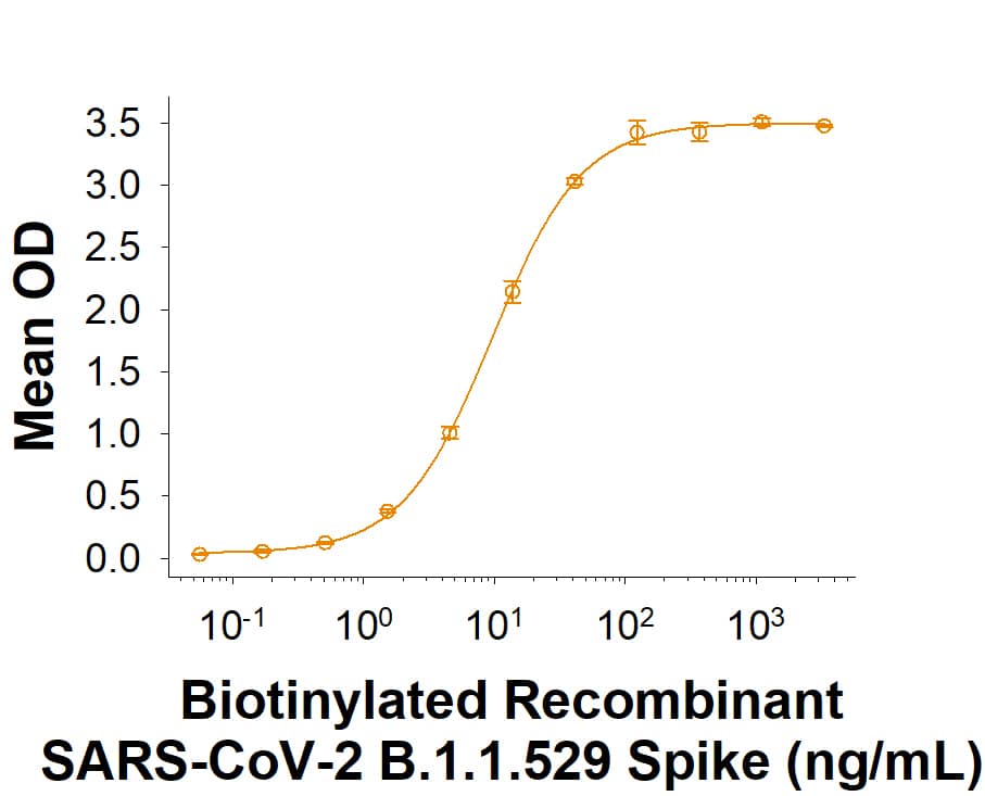 Biotinylated Recombinant SARS-CoV-2 B.1.1.529 Spike (GCN4-IZ) His-tag Protein (Catalog # BT11061) binds Recombinant Human ACE-2 Fc Chimera (10544-ZN) in a functional ELISA.