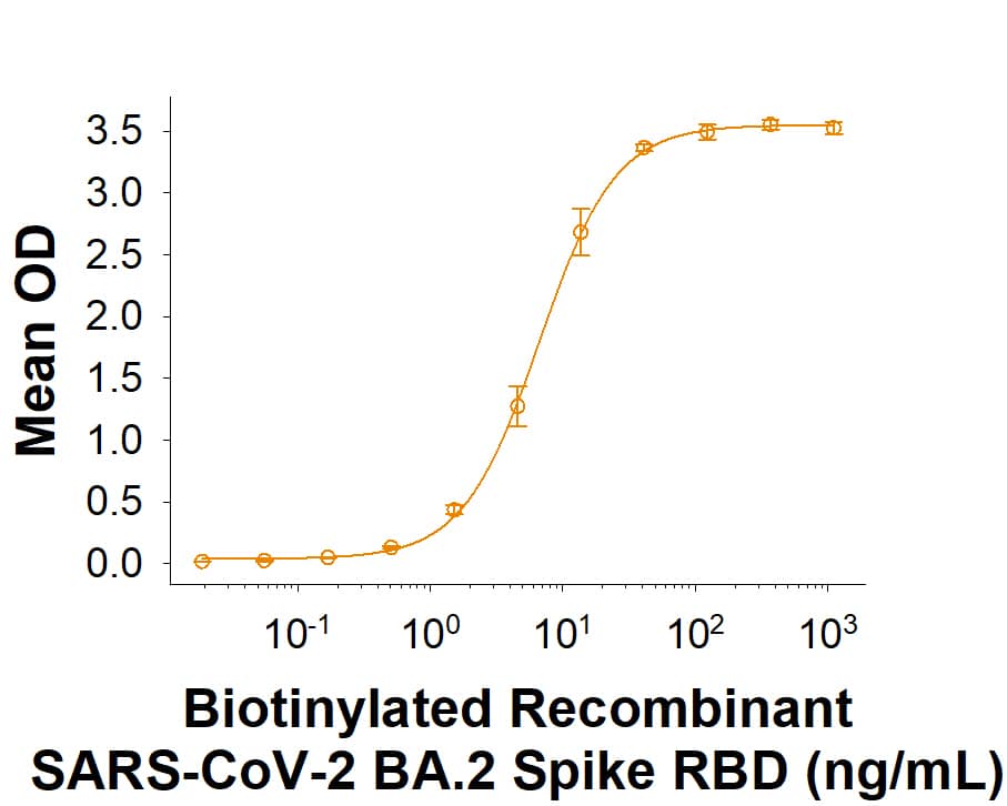 Biotinylated Recombinant SARS-CoV-2 BA.2 Spike RBD His-tag (Catalog # BT11094) binds Recombinant Human ACE-2 Fc Chimera (10544-ZN) in a functional ELISA.