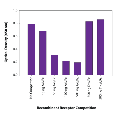 A172 cells were treated with Gas-6-containing conditioned media1 from the human lung cell line, WI38, for 15 minutes. The indicated amounts of recombinant extracellular domains of human Axl/Fc Chimera (Catalog # 154-AL), human Dtk/Fc Chimera (Catalog # 859-DK) or human TrkA/Fc Chimera (Catalog # 175-TK) were added to 125 µg of lysate and analyzed using this DuoSet IC ELISA. Competition was observed only with recombinant human Axl.