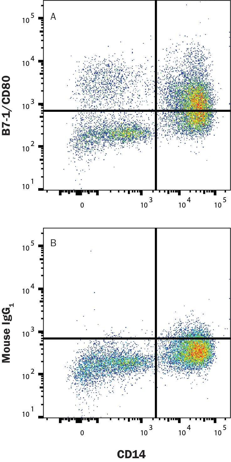 Human PBMC were treated with 1μg/mL LPS overnight then stained with (A) Mouse Anti-Human B7-1/CD80 CFS-conjugated Monoclonal Antibody (Catalog # FAB140F) or (B) Mouse IgG1 Isotype Control (IC002F) and Mouse Anti-Human CD14 PE-conjugated Monoclonal Antibody (FAB3832P). Staining was performed using our Staining Membrane-associated Proteins protocol.
