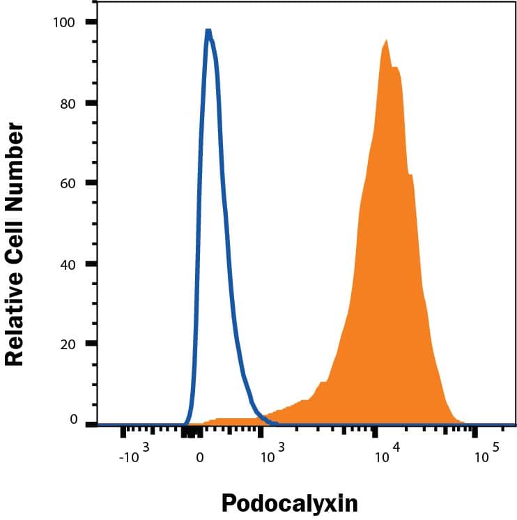 bEND-3 cells  were stained with Rat Anti-Mouse Podocalyxin APC‑conjugated Monoclonal Antibody (Catalog # FAB1556A, filled histogram) or isotype control antibody (Catalog # IC013A, open histogram). View our protocol for Staining Membrane-associated Proteins. 