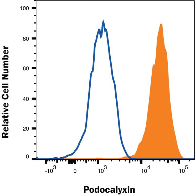 bEnd.3 mouse brain endothelial cell line was stained with Rat Anti-Mouse Podocalyxin PE-conjugated Monoclonal Antibody (Catalog # FAB1556P, filled histogram) or isotype control antibody (IC013P, open histogram). Staining was performed using our Staining Membrane-associated Proteins protocol. 