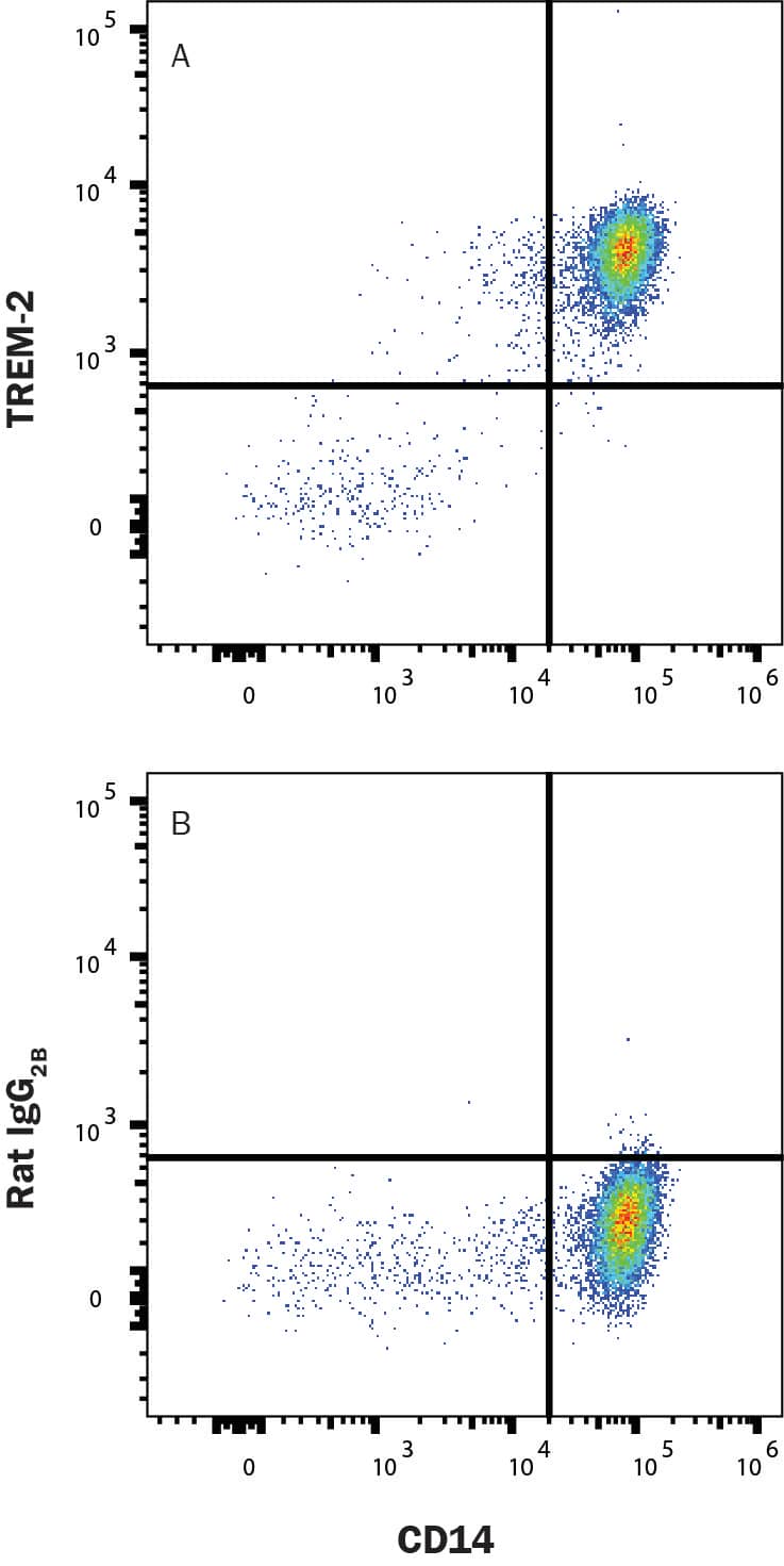 PBMCs with CD14 costain were stained with Mouse Anti-Human CD14 PE‑conjugated Monoclonal Antibody (Catalog # FAB3832P) and either (A) Rat Anti-Human/Mouse TREM2 Biotinylated Monoclonal Antibody (Catalog # FAB17291B) or (B) Rat IgG2B Biotinylated Isotype Control (Catalog # IC013B) followed by Streptavidin-Allophycocyanin (Catalog # F0050). View our protocol for Staining Membrane-associated Proteins. 