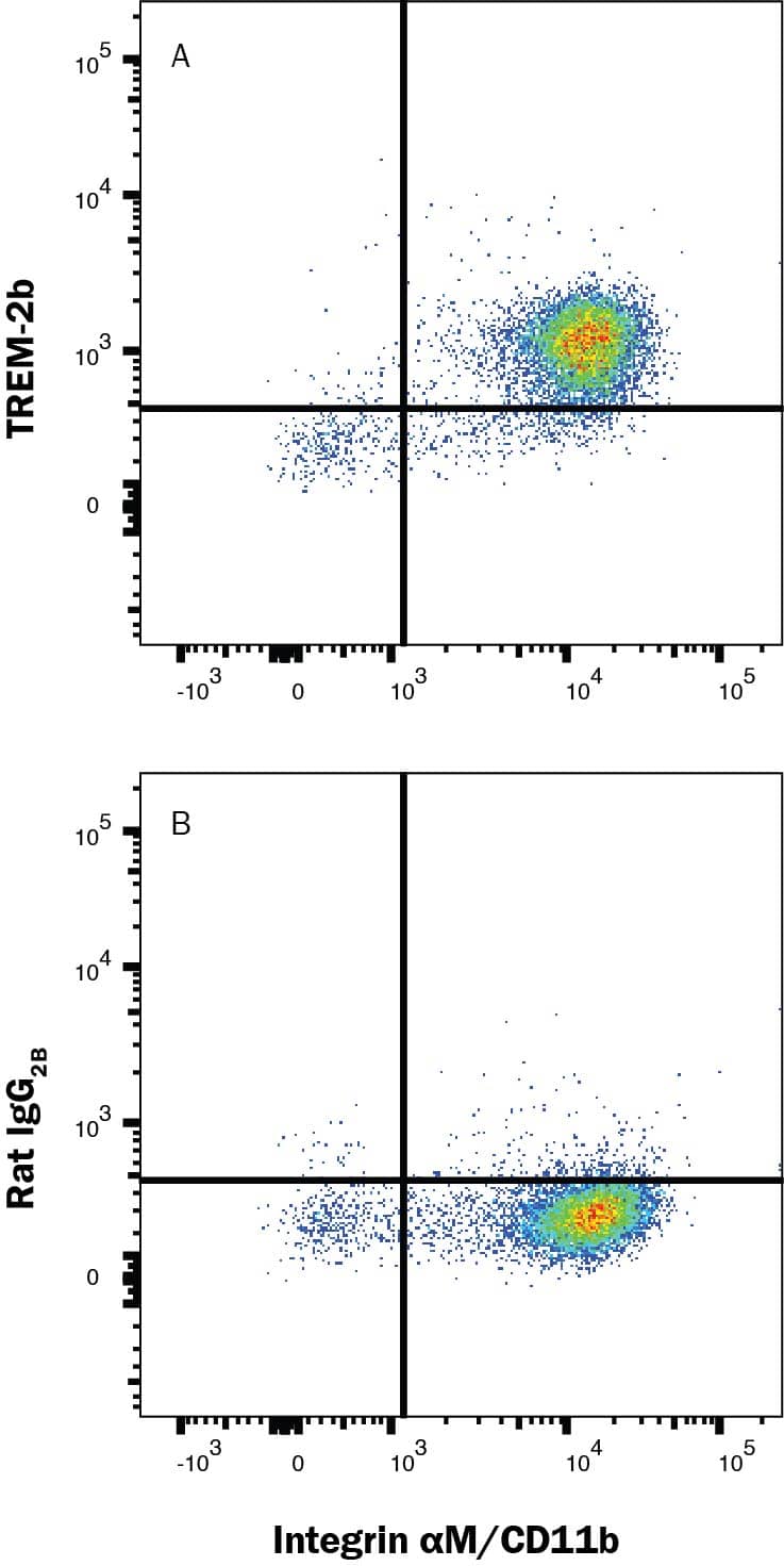 Human peripheral blood mononuclear cells (PBMCs) were stained with Mouse Anti-Human Integrin alpha M/CD11b APC-conjugated Monoclonal Antibody (FAB16991A) and either (A) Rat Anti-Human/Mouse TREM-2 Alexa Fluor® 405-conjugated Monoclonal Antibody (Catalog # FAB17291V) or (B) Rat IgG2B Alexa Fluor 405 Isotype Control (IC013V). Staining was performed using our Staining Membrane-associated Proteins protocol.