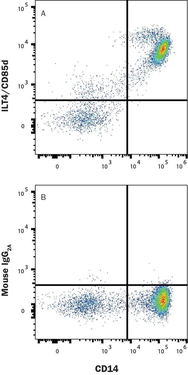 Human peripheral blood mononuclear cells (PBMCs) were stained with Mouse Anti-Human CD14 PE-conjugated Monoclonal Antibody (FAB3832P) and either (A) Mouse Anti-Human LILRB2/CD85d/ILT4 Alexa Fluor® 647-conjugated Monoclonal Antibody (Catalog # FAB2078R) or (B) Mouse IgG2AAlexa Fluor 647 Isotype Control (IC003R). View our protocol for Staining Membrane-associated Proteins.