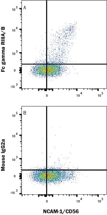 Human peripheral blood mononuclear cells (PBMCs) were stained with Mouse Anti-Human NCAM-1/CD56 Alexa Fluor® 647-conjugated Monoclonal Antibody (FAB24086R) and either (A) Mouse Anti-Human Fc gamma RIII (CD16) Biotinylated Monoclonal Antibody (Catalog # FAB2546B) or (B) Mouse IgG2ABiotinylated Isotype Control (IC003B) followed by Streptavidin-Phycoerythrin (F0040). View our protocol for Staining Membrane-associated Proteins.