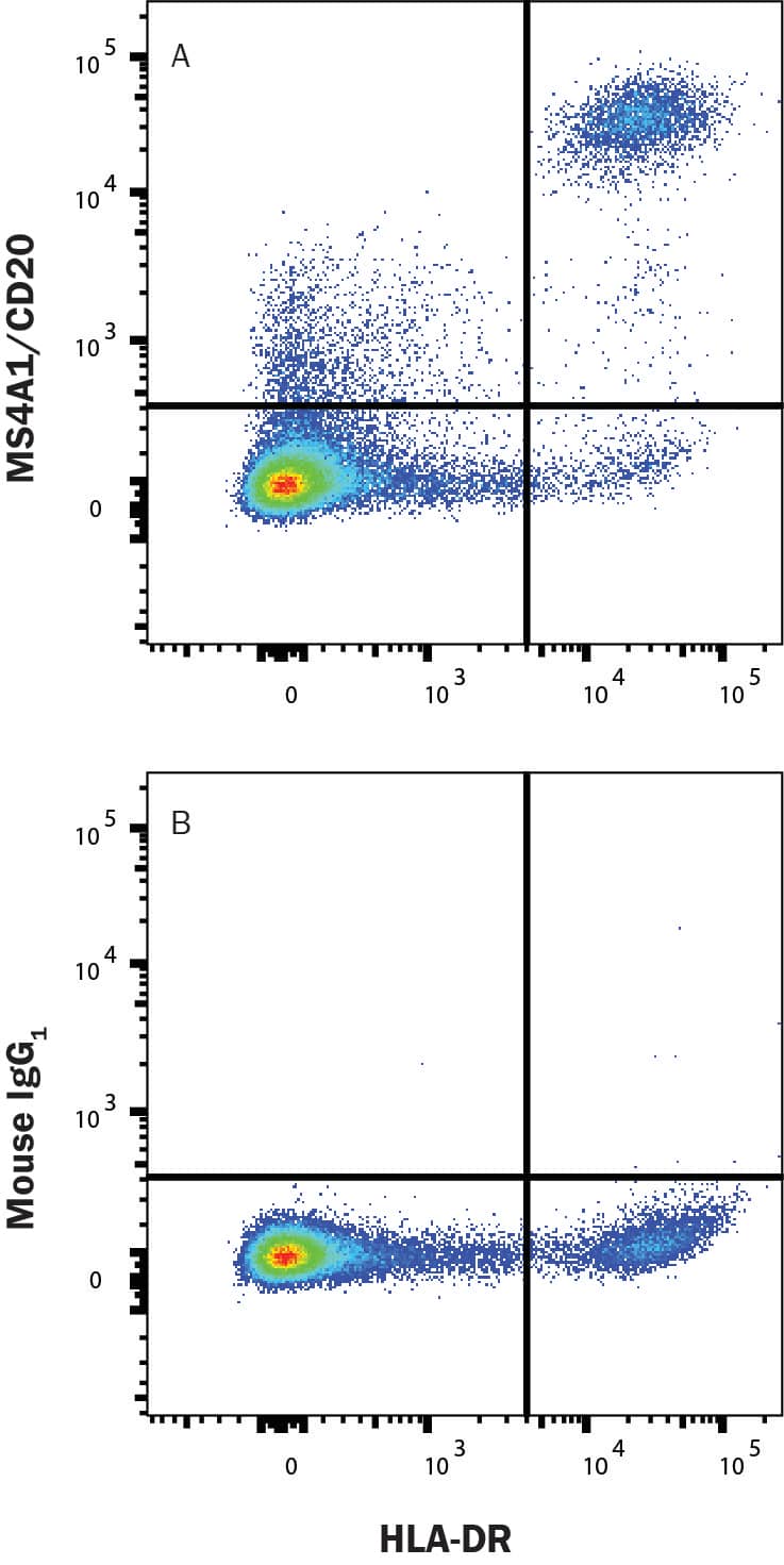 Human peripheral blood mononuclear cells (PBMCs) were stained with Mouse Anti-Human HLA-DR APC-conjugated Monoclonal Antibody (FAB4869A) and either (A) Mouse Anti-Human MS4A1/CD20 Alexa Fluor® 488-conjugated Monoclonal Antibody (Catalog # FAB4225G) or (B) Mouse IgG1Alexa Fluor 488 Isotype Control (IC002G). Staining was performed using our Staining Membrane-associated Proteins protocol.