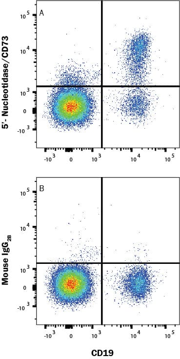 Human peripheral blood mononuclear cells (PBMCs) were stained with Mouse Anti-Human CD19 APC-conjugated Monoclonal Antibody (FAB4867A) and either (A) Mouse Anti-Human 5'-Nucleotidase/CD73 PE-conjugated Monoclonal Antibody (Catalog # FAB5795P) or (B) Mouse IgG2BPhycoerythrin Isotype Control (IC0041P). View our protocol for Staining Membrane-associated Proteins.