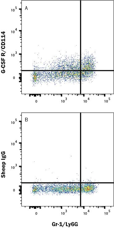 Mouse bone marrow cells were stained with Rat Anti-Mouse Gr-1/Ly-6G PE-conjugated Monoclonal Antibody (FAB1037P) and either (A) Sheep Anti-Mouse G-CSF R/CD114 APC-conjugated Antigen Affinity-purified Polyclonal Antibody (Catalog # FAB6039A) or (B) Normal Sheep IgG Allophycocyanin Control (IC016A). Staining was performed using our Staining Membrane-associated Proteins protocol.