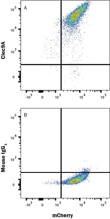 HEK293 human embryonic kidney cell line transfected with human Clec9a and mCherry was stained with either (A) Mouse Anti-Human CLEC9a Alexa Fluor® 488-conjugated Monoclonal Antibody (Catalog # FAB6049G) or (B) Mouse IgG1Alexa Fluor 488 Isotype Control (IC002G). Staining was performed using our Staining Membrane-associated Proteins protocol. 
