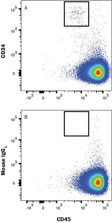 Human peripheral blood mononuclear cells (PBMCs) were stained with (A) Mouse Anti-Human CD34 Biotinylated Monoclonal Antibody (Catalog # FAB7227B) or (B) Biotinylated Mouse IgG1 isotype control antibody (IC002B) followed by PE-conjugated Streptavidin (F0040) and Mouse Anti-Human CD45 APC-conjugated Monoclonal Antibody (FAB1430A). View our protocol for Staining Membrane-associated Proteins.