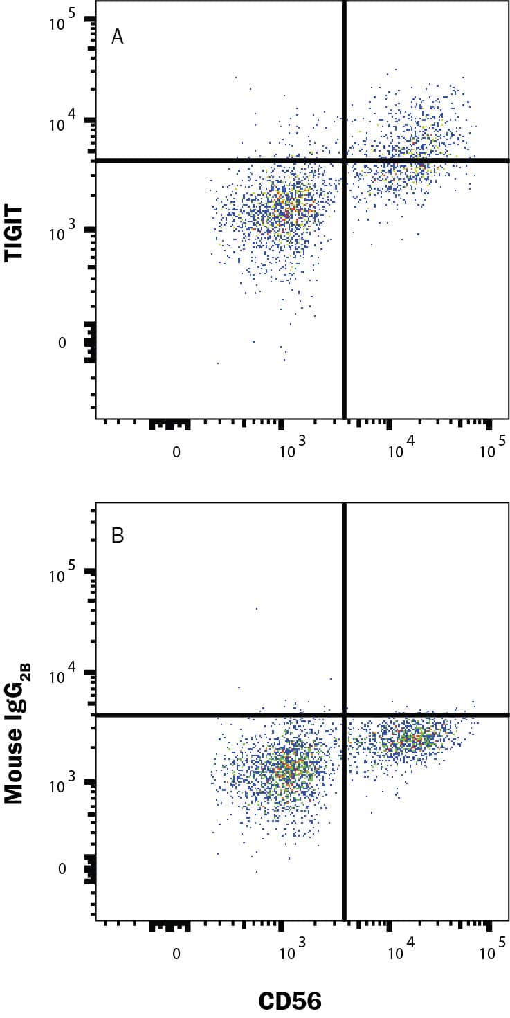 PBMC lymphocytes were stained with Rabbit Anti-Human NCAM‑1/CD56 PE‑conjugated Monoclonal Antibody (Catalog # FAB24086P) and either (A) Mouse Anti-Human TIGIT Alexa Fluor® 488‑conjugated Monoclonal Antibody (Catalog # FAB7898G) or (B) Mouse IgG2B Alexa Fluor 488 Isotype Control (Catalog # IC0041G). View our protocol for Staining Membrane-associated Proteins. 