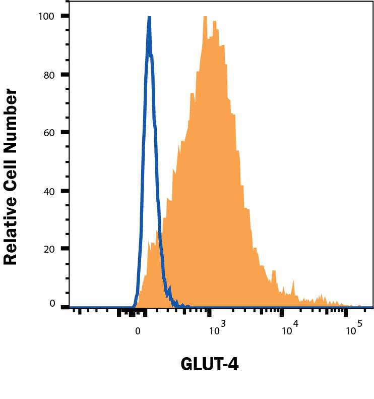 HEK293 human embryonic kidney cell line transfected with either human Glut4 (filled histogram) or irrelevant protein (open histogram) were stained with Mouse Anti-Human Glut4 Alexa Fluor® 488-conjugated Monoclonal Antibody (Catalog # FAB86541G). Cell were gated based on control antibody staining (IC0041G, data not shown). Staining was performed using our Staining Membrane-associated Proteins protocol.