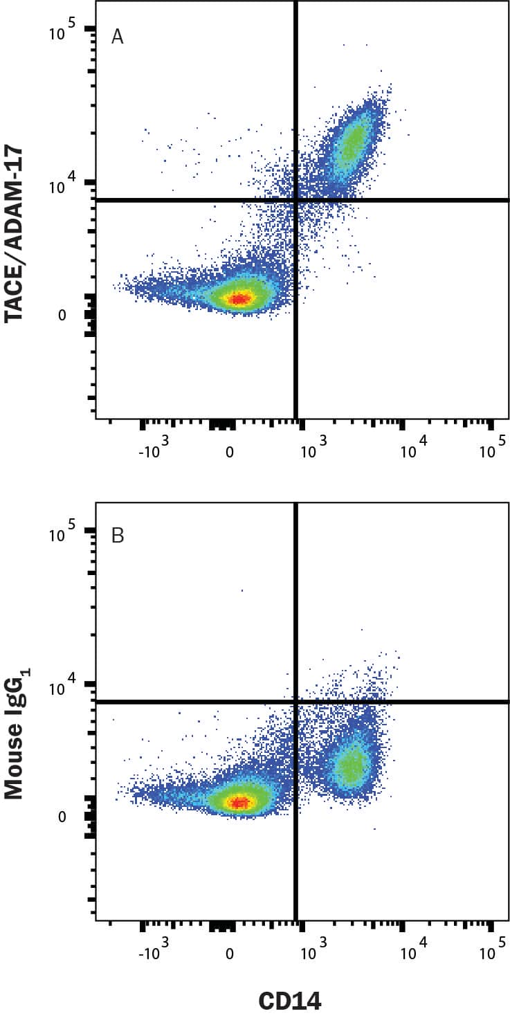Human PBMC were stained with (A) Mouse Anti-Human TACE/ADAM17 Ectodomain Alexa Fluor® 488-conjugated Monoclonal Antibody (Catalog # FAB9301G) or (B) Mouse IgG1 isotype control antibody (IC002G) and Mouse anti-Human CD14 PerCP-conjugated Monoclonal Antibody (FAB3832C). View our protocol for Staining Membrane-associated Proteins.