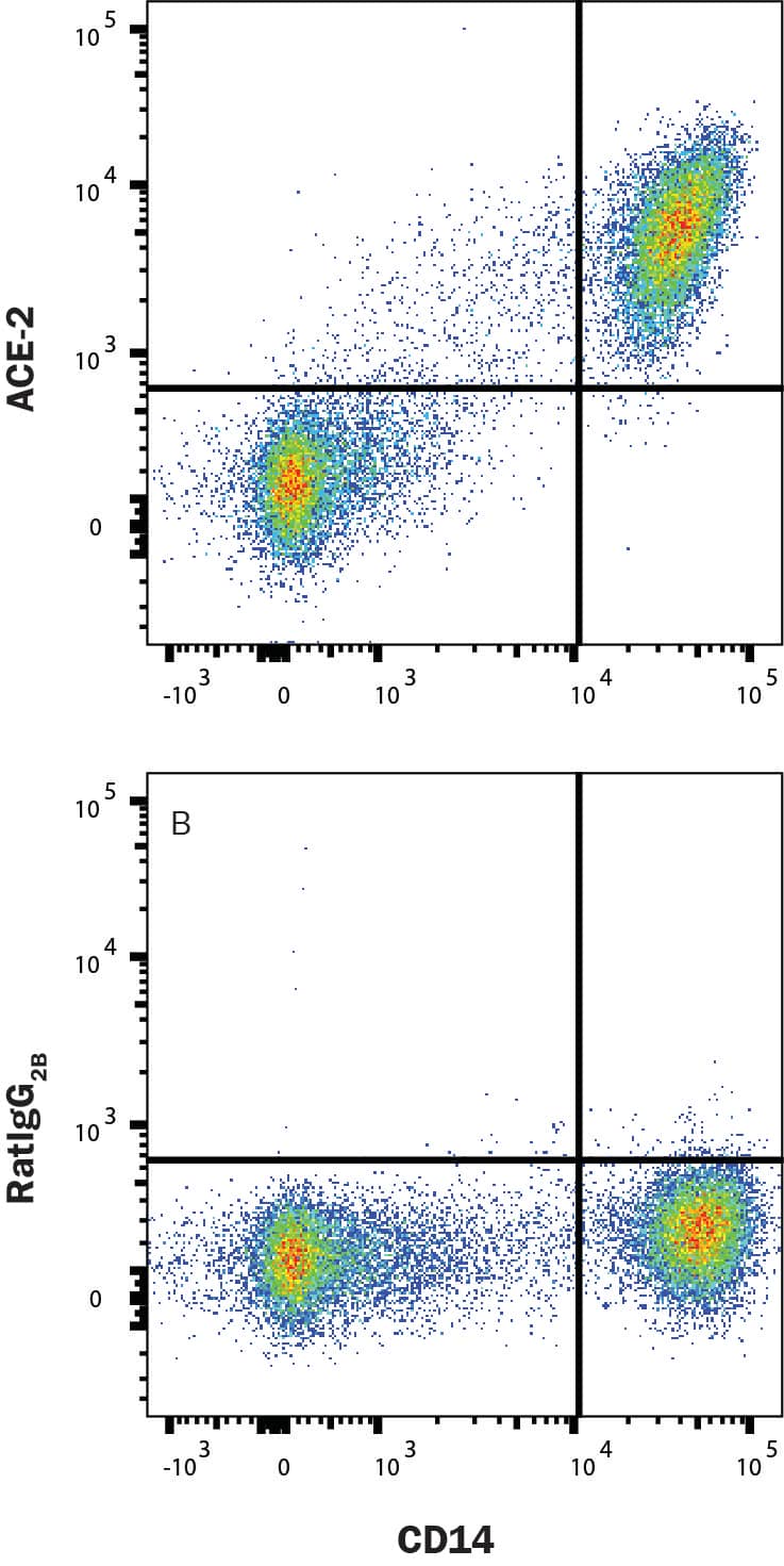 Human PBMC were stained with (A) Rat Anti-Human ACE-2 PE-conjugated Monoclonal Antibody (Catalog # FAB9334P) or (B) Rat IgG2b Isotype Control Antibody (IC013P) and Mouse anti-Human CD14 APC-conjugated Monoclonal Antibody (FAB3832A). Staining was performed using our Staining Membrane-associated Proteins protocol.