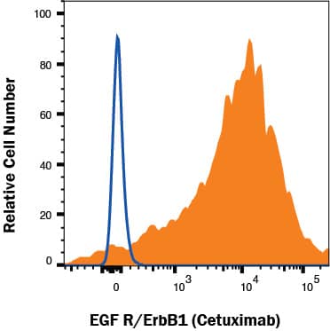 A431 cells were stained with Human Anti-Human EGFR (Research Grade Cetuximab Biosimilar) Monoclonal Antibody (MAB9577, filled histogram) or isotype control antibody (1-001-A, open histogram), followed by Rabbit Anti-Cetuximab (Anti-Idiotype) PE monoclonal antibody (Catalog # FAB9626P). View our protocol for Staining Membrane-associated Proteins. 
