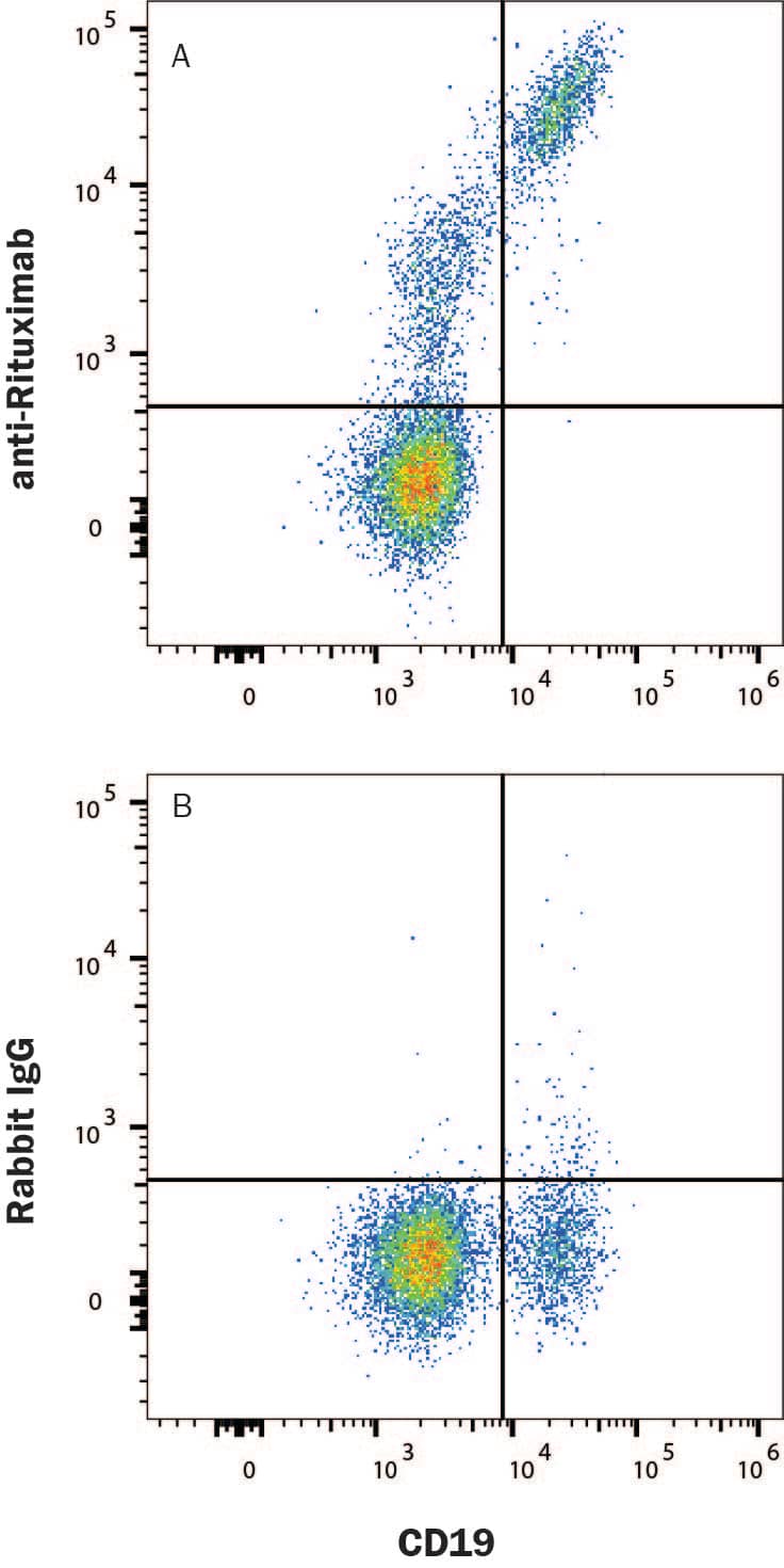 PBMCs with CD19 costain were stained with Mouse Anti-Human CD19 Fluorescein‑conjugated Monoclonal Antibody (Catalog # FAB4867F) and either (A) Rabbit Anti-Rituximab (Anti-Idiotype) PE‑conjugated Monoclonal Antibody (Catalog # FAB9630P) or (B) Rabbit IgG PE-conjugated Antibody (Catalog # IC1051P). View our protocol for Staining Membrane-associated Proteins. 